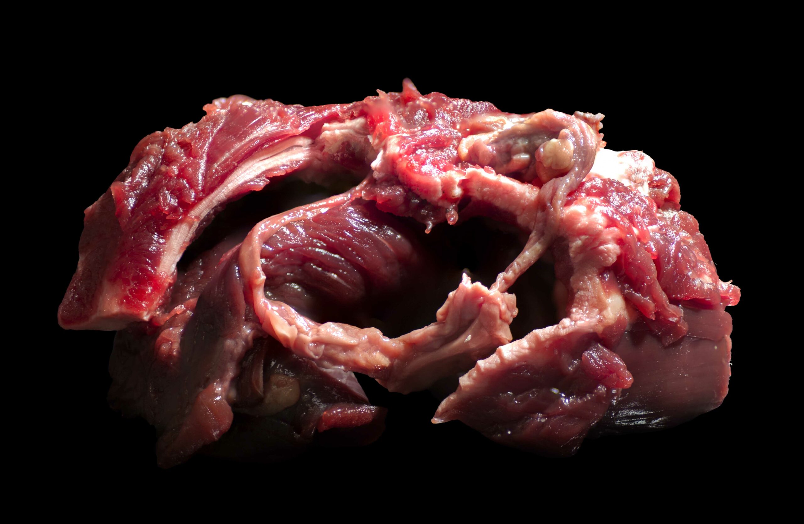 fs viande 27 devorer 1