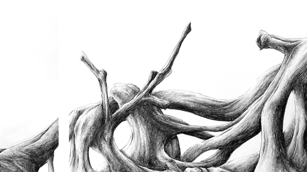 messactevolutiondetail2