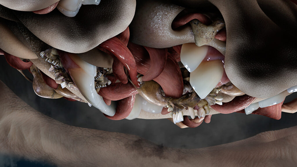 messactmoruladetail1