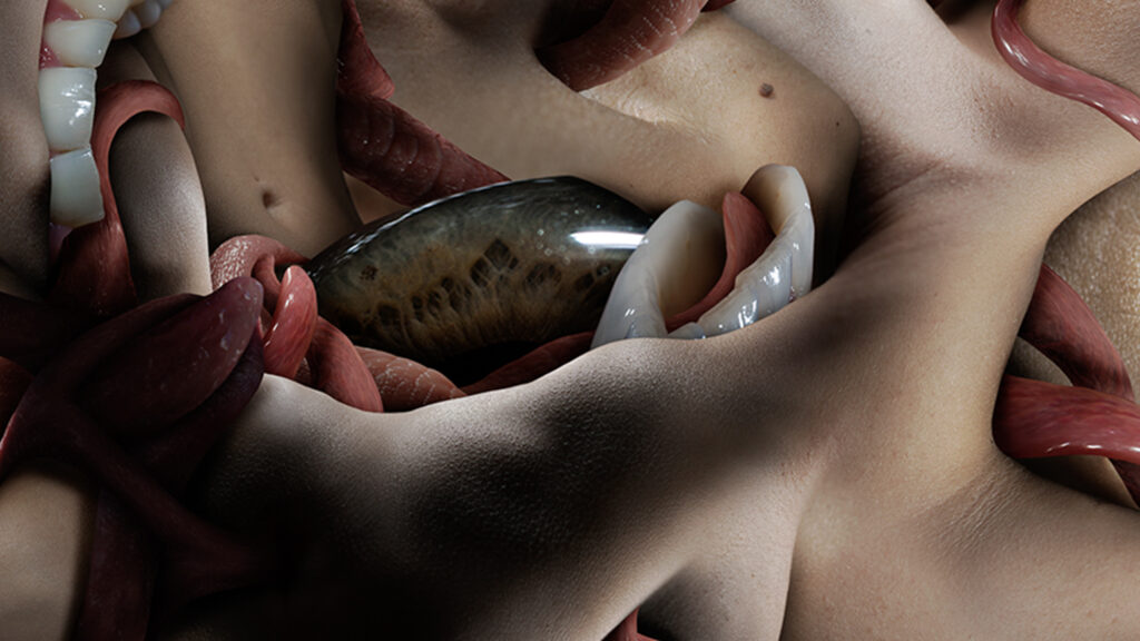 messactmoruladetail2