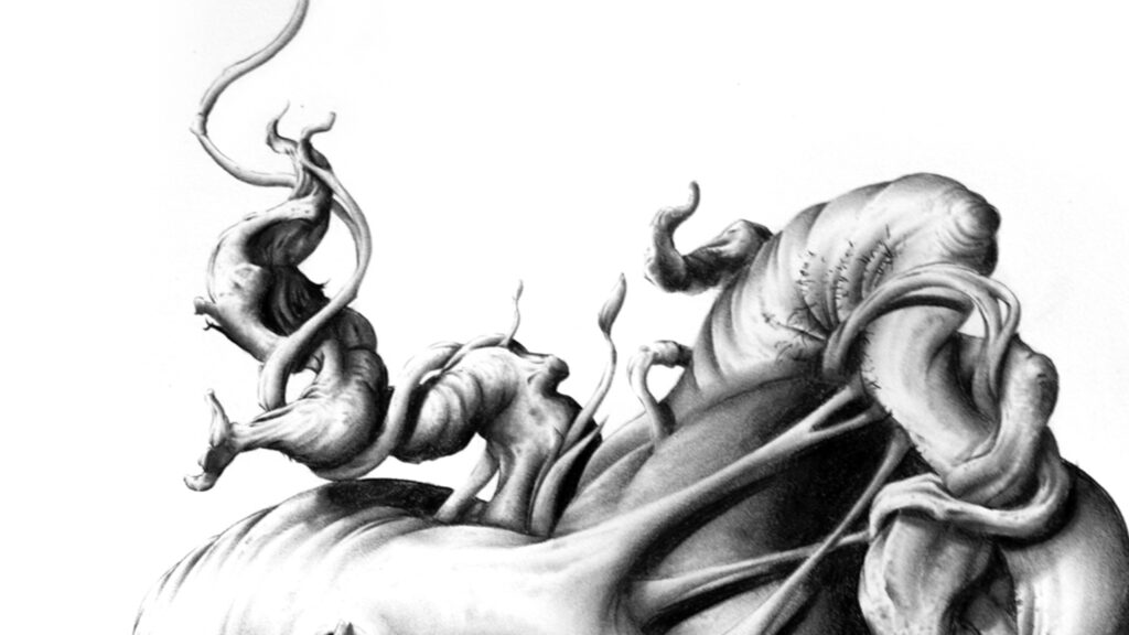 messactorganismedetail2